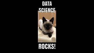 Video: RStudio Scripts