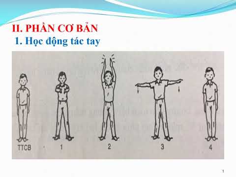 Thể dục 3 - Tuần 2: Bài 2: Động tác tay