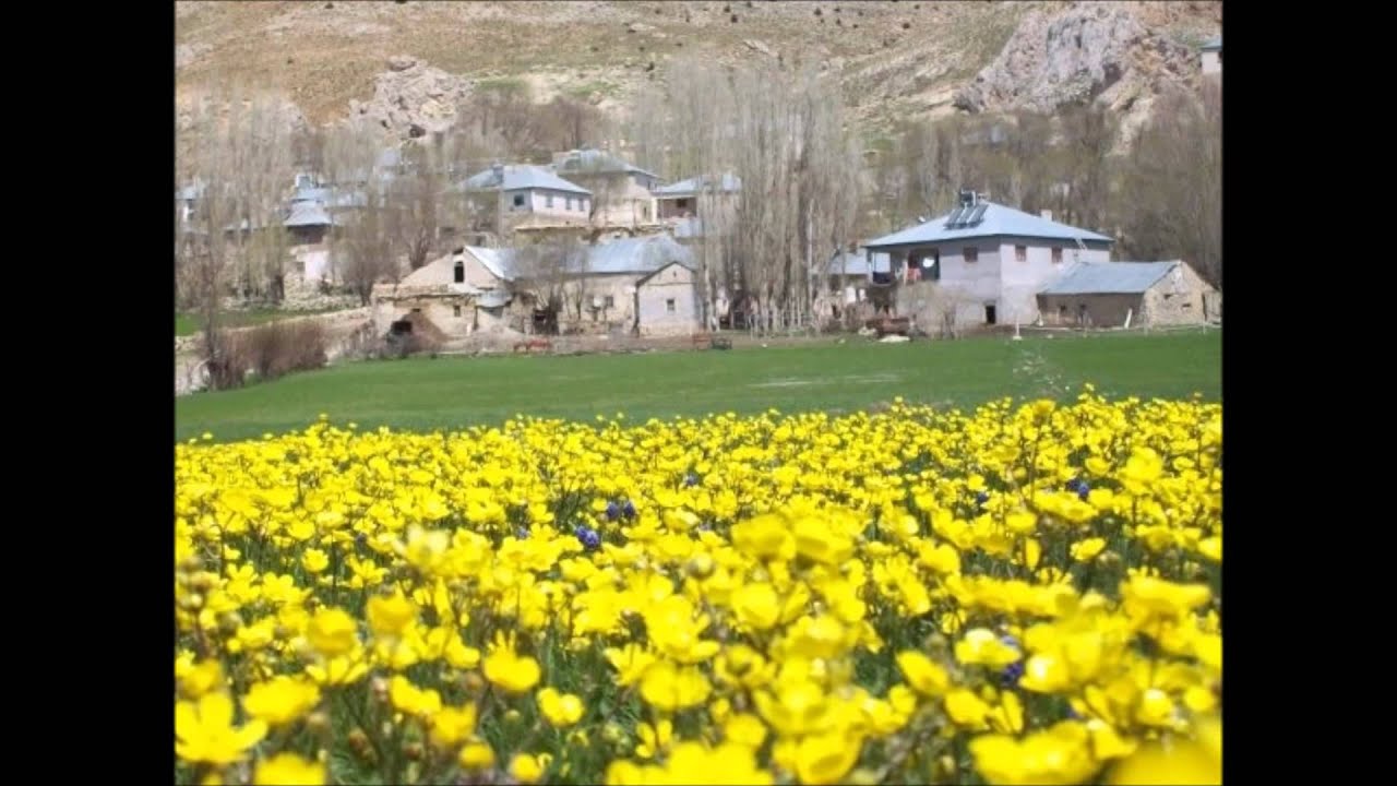 çavdar köyü sarız kayseri