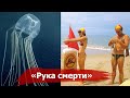 Кого прозвали &quot;Рукой Смерти&quot; и как от неё спасают обычные Колготки?