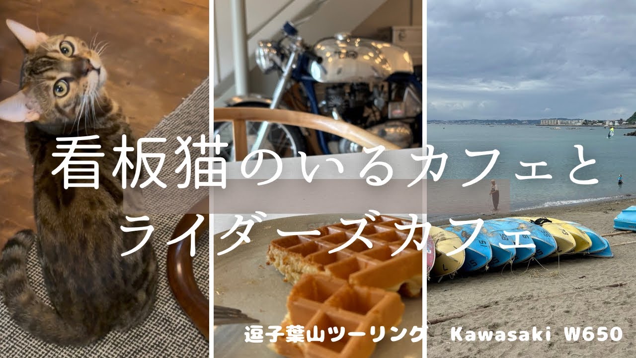 逗子葉山ツーリング/ ベンガル看板仔猫がいる Art of Life山の音/モダンなライダーズカフェ フェリシティ Kawasaki W650ツーリング