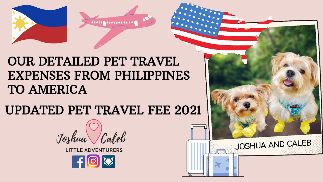 pet travel requirements philippines domestic