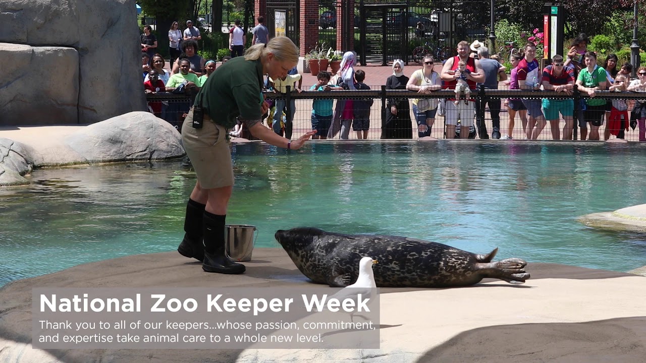 Happy National Zoo Keeper Week!