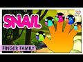 Snail Finger Family Song Best Toddler Learning Videos By Finger Family Rhymes Kids Songs Snail Finger Family Song Best Toddler Learning Videos By Finger Family Rhymes Kids Songs