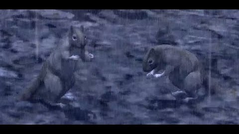 Deadly Premonition - Squirrel Monkey