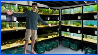 Building A FISH SHOP In My Basement! by Carson’s Aquatics 11,752 views 11 months ago 6 minutes, 47 seconds