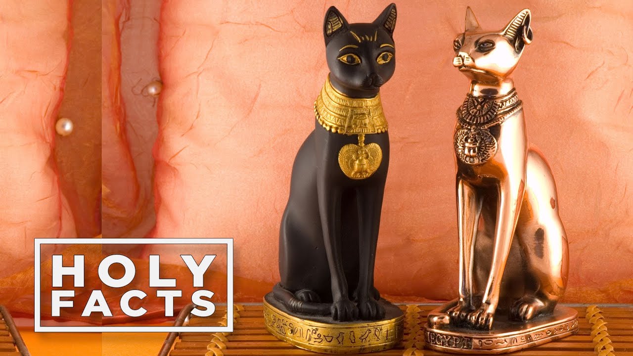 Cat Worship | HOLY FACTS #6 - Deepak Chopra - YouTube