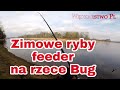 Ryby na feeder z rzeki Bug , zimowe wędkarstwo 2020  Fish on a feeder from the Bug River