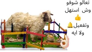 فرحي الاولاد وصنعو مع بعض خروف زينة لعيد الاضحى المبارك 