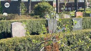 Uitbreiding Lindenhof Dokkum 210 Extra Graven Én Een Gedenkbos