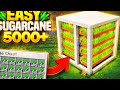 🔥 MINECRAFT 1.21+ AUTO SUGARCANE FARM 😱 5000+ Per Hour (Bedrock/Java)