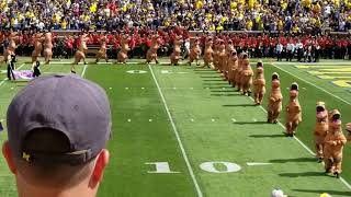 University of Michigan Marching Band; Wolverines v. Bearcats 2017