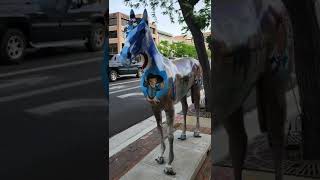 𝕋𝕣𝕒𝕚𝕝 𝕥𝕠 ℙ𝕚𝕠𝕟𝕖𝕖𝕣 𝔻𝕒𝕪𝕤