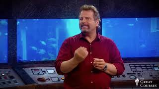 Phytoplankton and Other Autotrophs