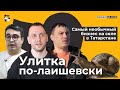 Улитки. Как на них зарабатывать? Самый необычный бизнес на селе в Татарстане