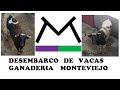 DESEMBARQUE VACAS GANADERÍA MONTEVIEJO PARA CAPEA CARNAVAL  TRUJILLO 2020