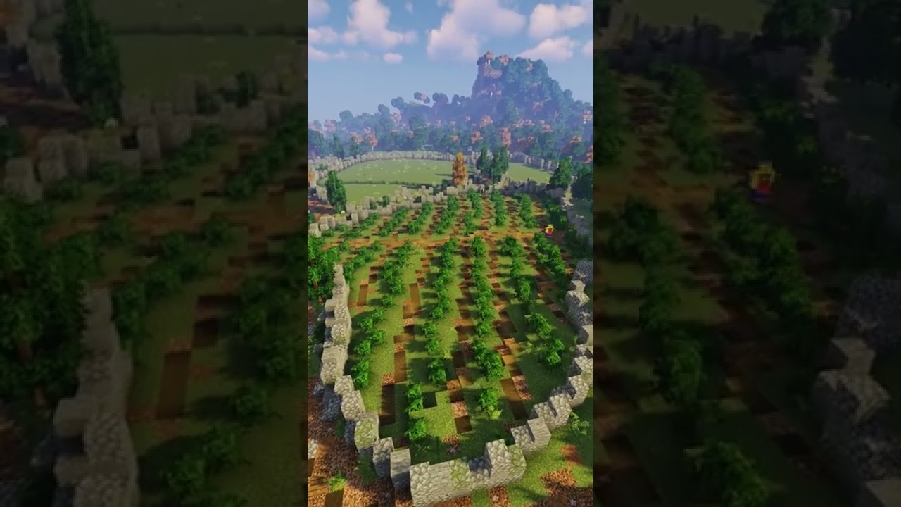 How to build a gigantic Vineyard | GAP FILLERS 