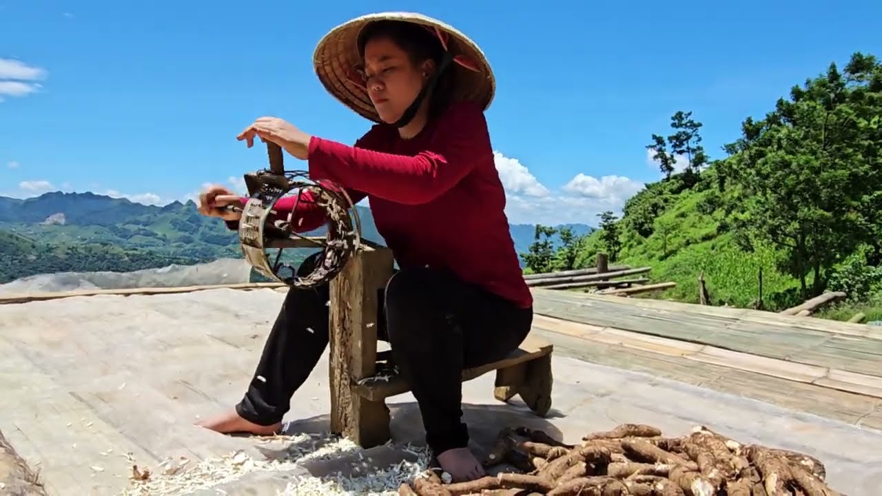 Harvesting Peanuts, Digging Cassava, and Preparing Livestock Feed | Tà Xùa Daily Life