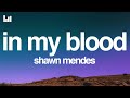 Shawn Mendes In My Blood Lyrics mp3