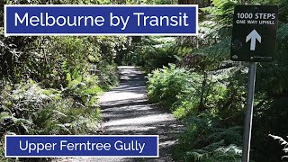 Melbourne by Transit - Upper Ferntree Gully