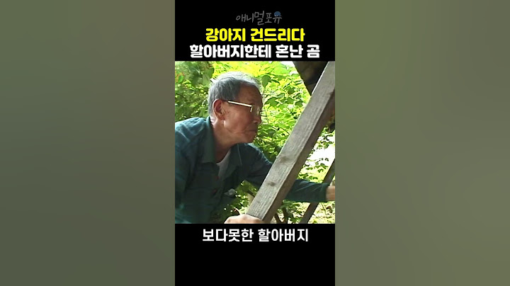 🐻 강아지랑 싸우다가 할아버지한테 혼쭐난 곰ㅋㅋ