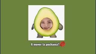 A mover la pochaina 💋#humor