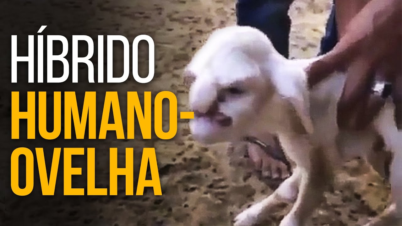 5 Descobertas Mais Incomuns Do S culo 21 YouTube