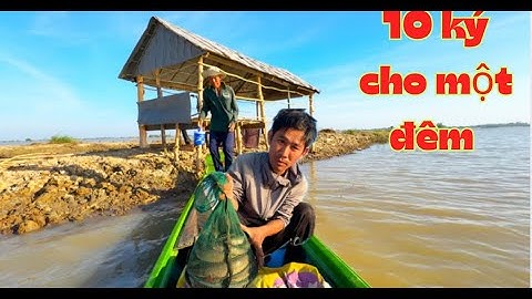 TẬP.147.bữa nay hai cha con trúng luồn cá lóc dính liền con ngỡ đã tay luôn/ cắm câu mùa gió chướng