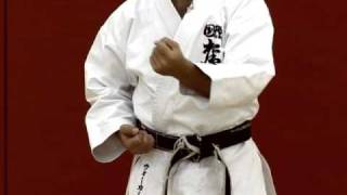 Basic Karate Blocks - Part 1(In this video the five basic blocks of Shotokan karate are introduced, and the real meaning of the word 
