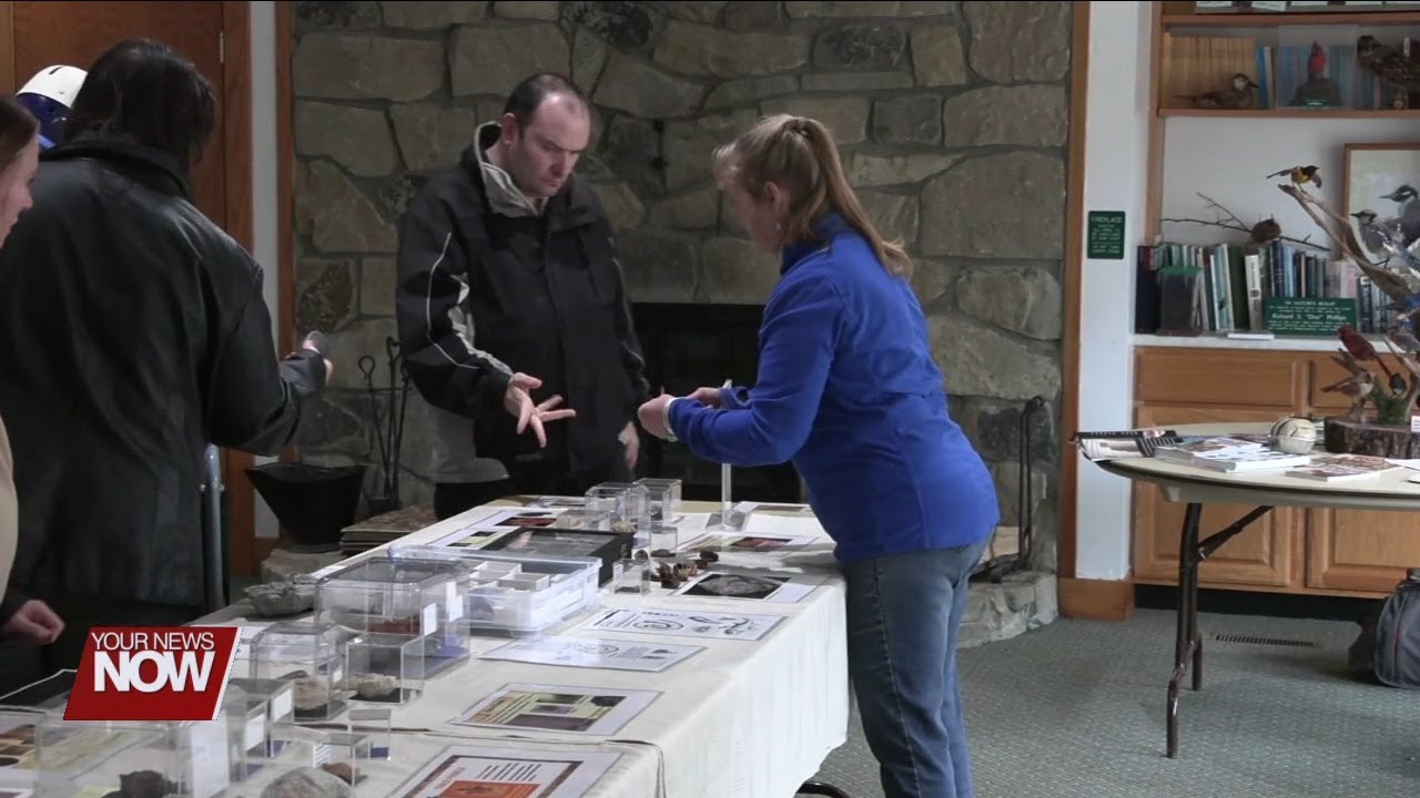 Hancock Park District celebrates Old Rock Day with public fossil exhibit