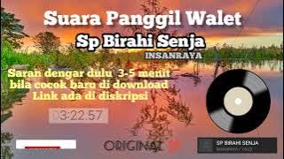 Suara panggil walet Sp Birahi Senja Original