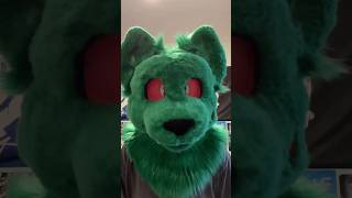 Zeke’s vocal chords are damaged, so he can’t always talk and gets frustrated #furry