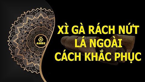 Xì gà bị rách nứt lá ngoài và cách khắc phục | Những điều thú vị về cigar #4 | Ambe.vn