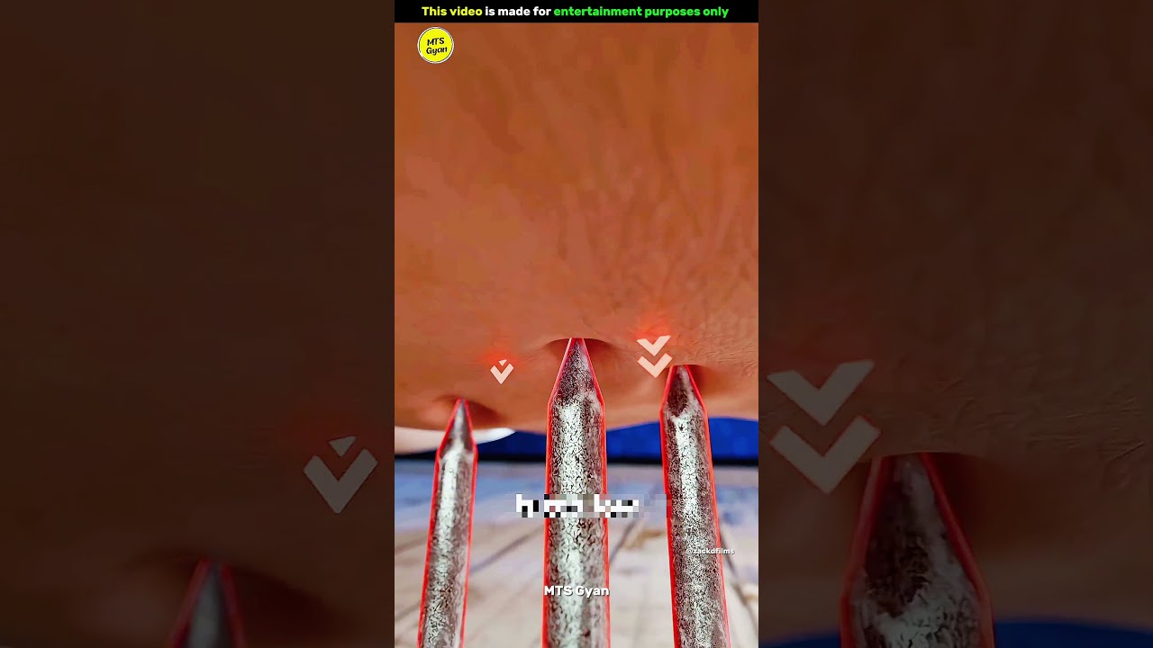 What Happened If You Sleep On Nails Bed 🤔| Gadgets, Smart Appliances, Kitchen Utensils/ Home