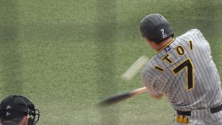 大人 レガシーメタル 元阪神 糸○選手使用で特大ホームランを