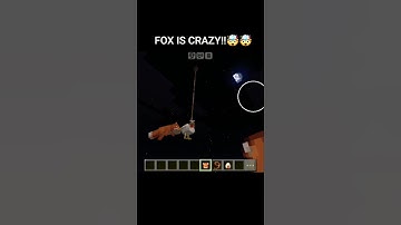 FOX IS CRAZY!!🤯🤯 #minecraft #funny #crazy #fun #gaming #game #edit #yt #shorts @shinyishashorts
