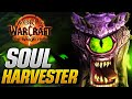 Soul harvester warlock hero talents are here initial thoughts and impressions