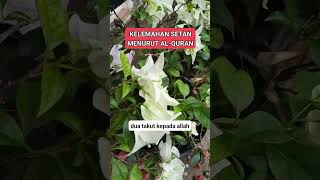 kelemahan setan menurt alquran