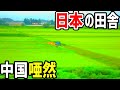 【海外の反応】「これが日本で最も貧しい県」との紹介に、中国の反応がヤバい！