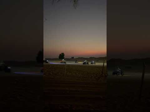 Dubai desert safari with BBQ dinner #safari #abudhabi #bellydance #desert #dubai #desertsafari