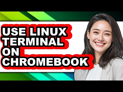 How to Use Linux Terminal on Chromebook (full Guide)