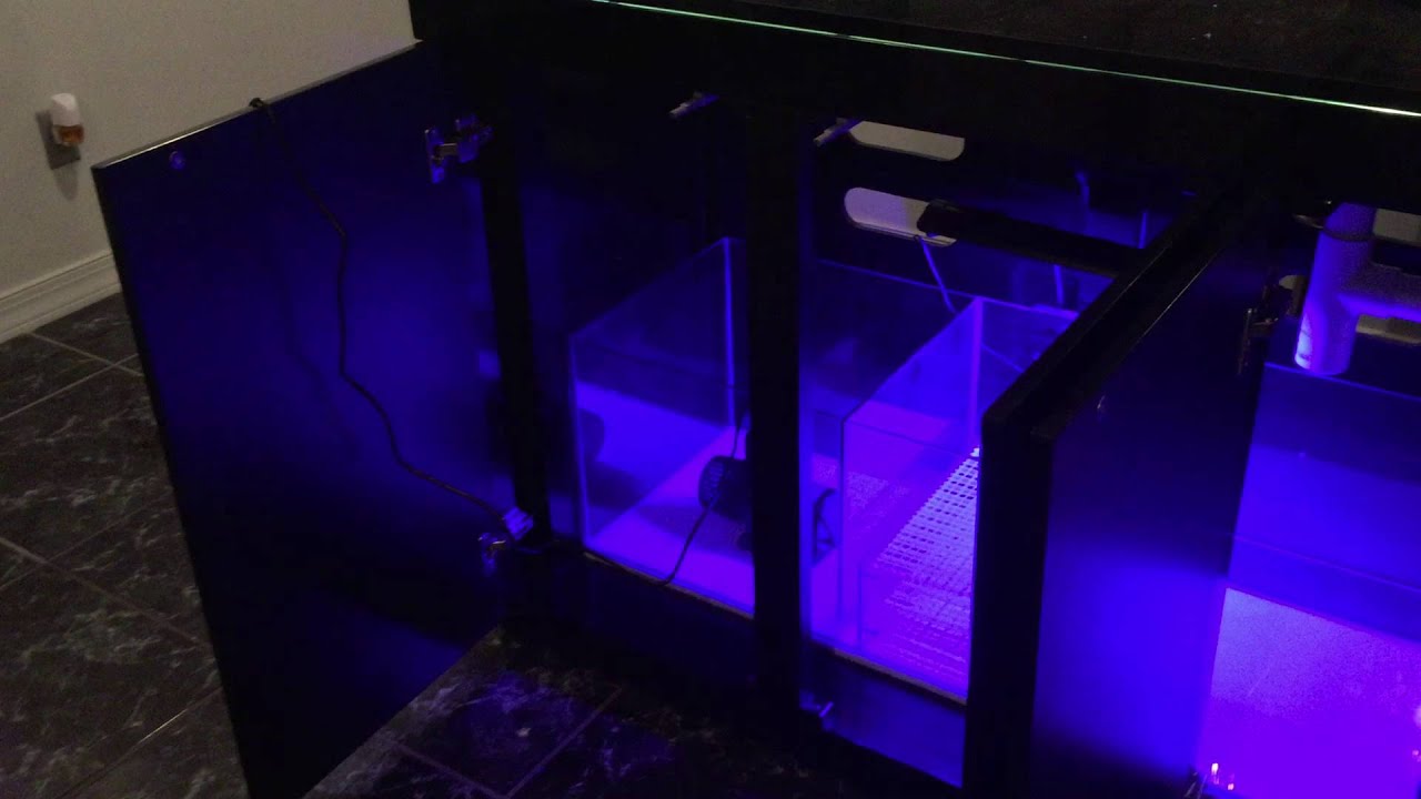 Cadlights Rimless 150 Gallon 2015 Artisan II