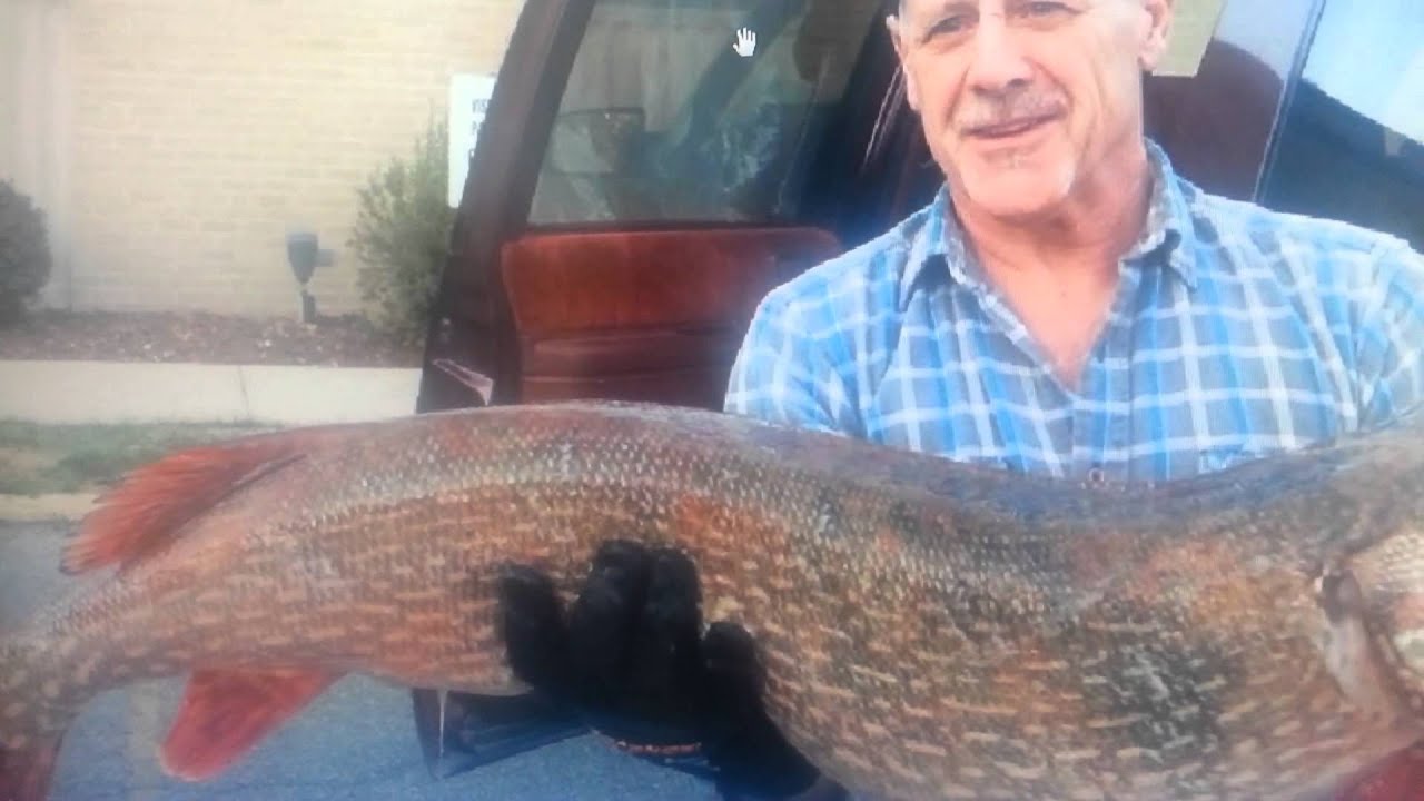 JEFF LUTCAVISH  (641)512-7789