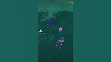 Shiny Lechonk Reaction! Pokemon Violet! Full Odds Random Encounter!