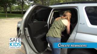 Heatstroke - Safe Kids Grand Forks