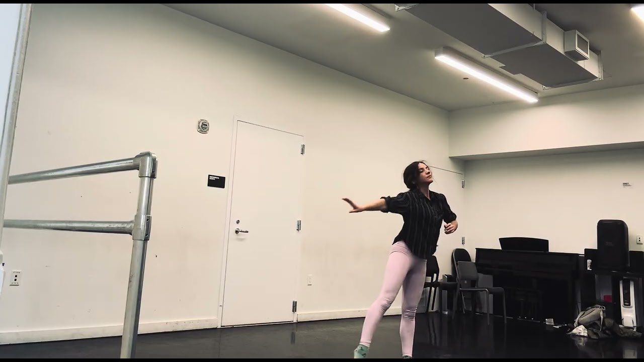 dancing to pulaski at night by andrew bird 