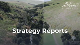 Visioning the Future - Strategy Reports in Action