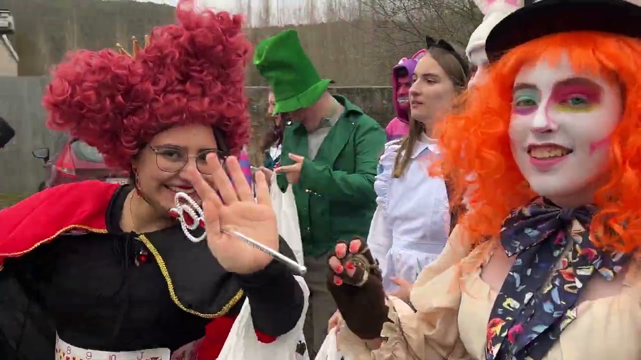 Carnaval Villadepalos 2026