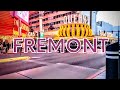 Live In Las Vegas 💨 Fremont Street