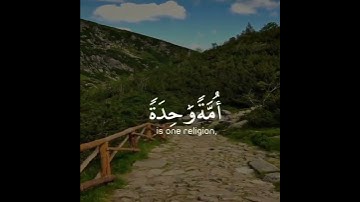 حالات انستقرام دينية - تلاوة تثلج نبض قلبك - قرآن - Quran
